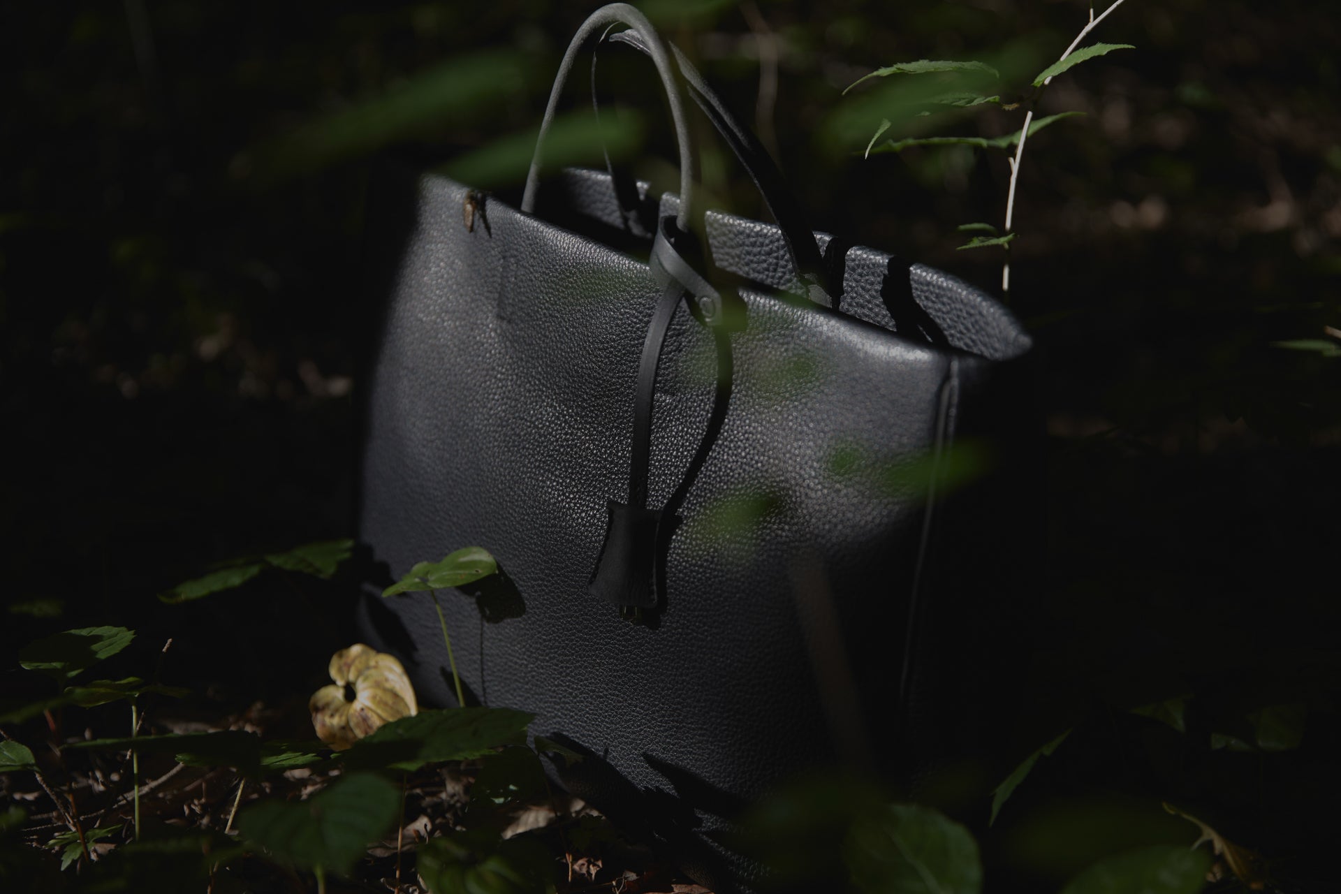 A – SHIZENDO